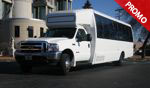 chicago limobus